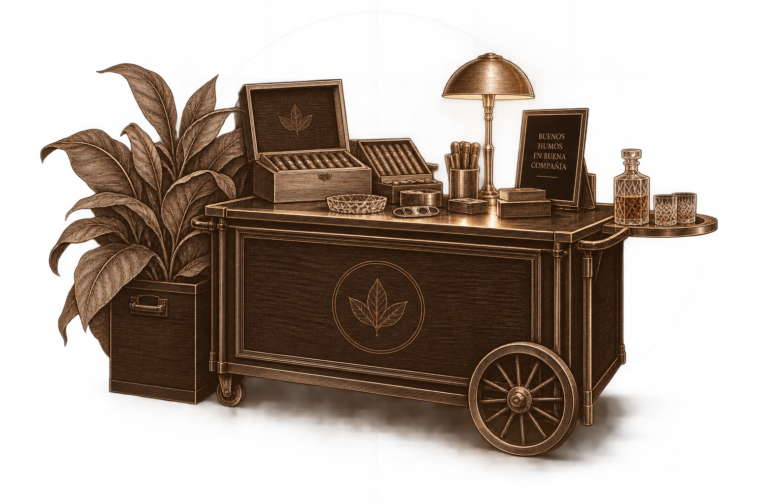 Ilustración editorial del Premium Cigar Bar de Panama Cigar Club