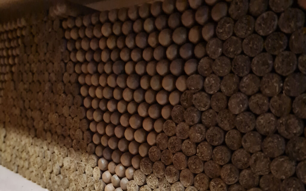 El Arte del Tabaco: De la Semilla al Humo Perfecto