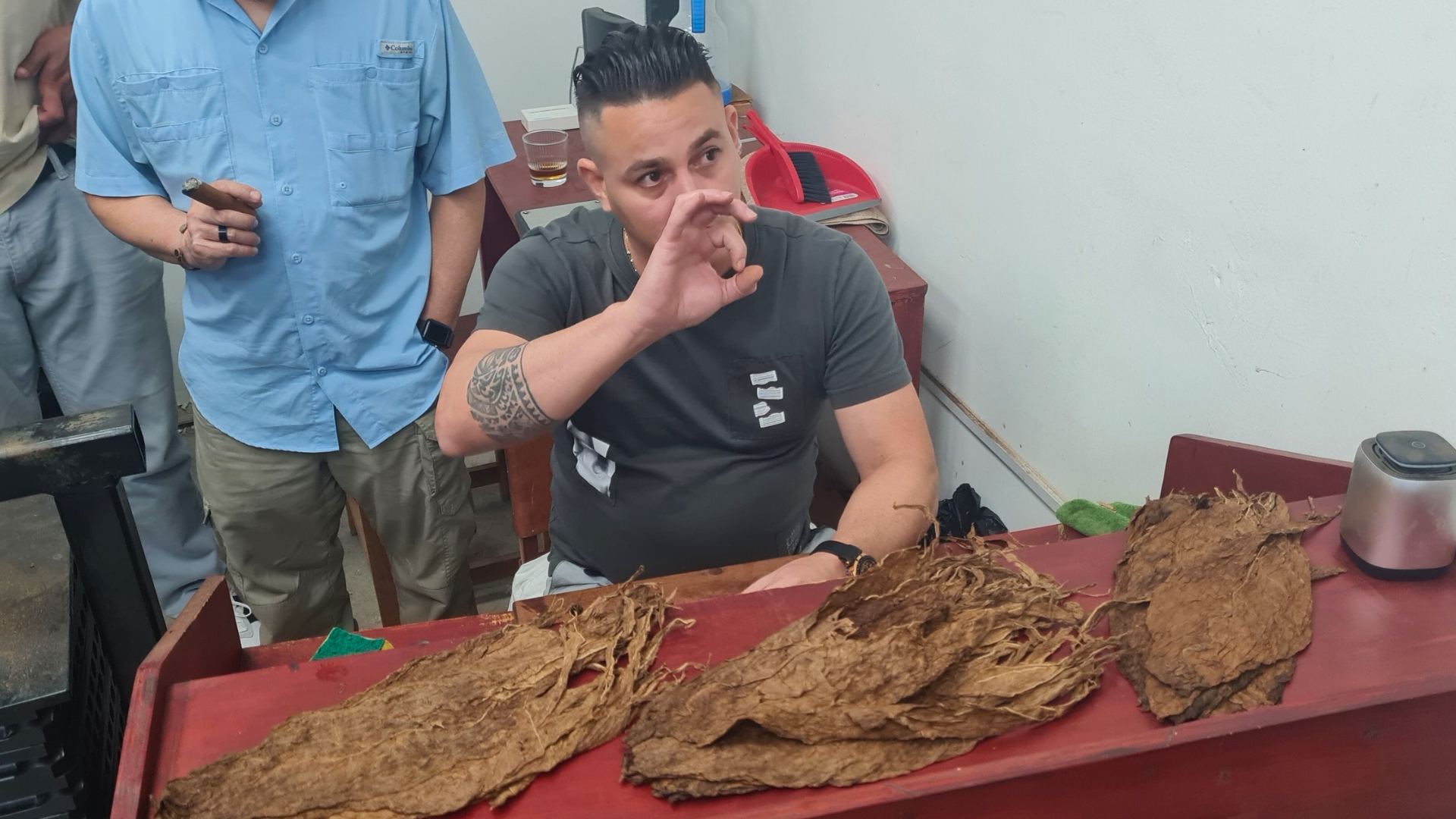 Tardeo Especial 2025 Una velada de aromas, sabores y distinción celebrada en Montes de Oca con Ron El Galante, Castelauro Beverage y La Rana Dorada.