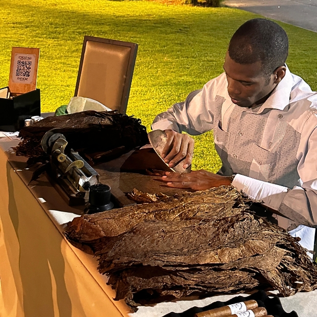 cigar bar panamacigarclub tabaco montes de oca golfaholics